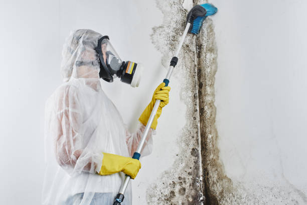 Best Residential Mold Removal  in Maltby, WA