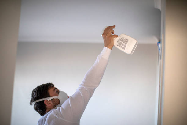 Best Professional Mold Removal  in Maltby, WA