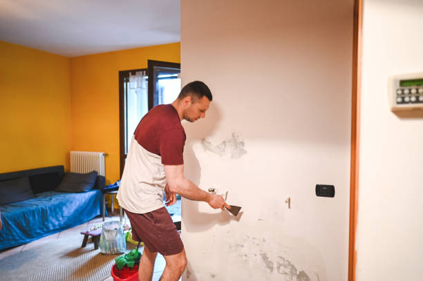 Office Mold Removal Services in Maltby, WA